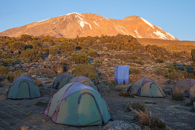 Kibo Tents and Tardis