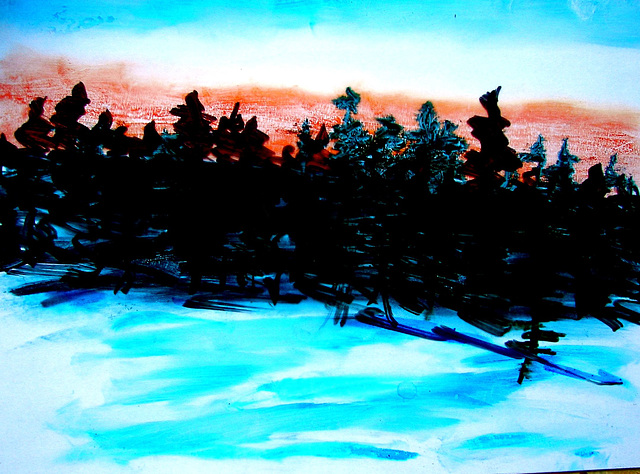 Sunset over black spruce