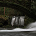 Whatcom Falls, Bellingham