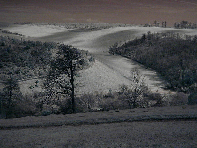 Arundel Park