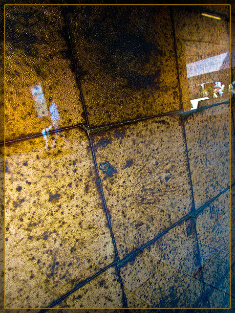 De Young Museum Entrance Corridor with Reflection