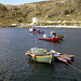Boats in Machico Bay
