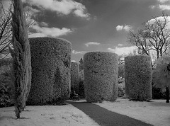 Cylindrical topiary