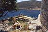 Spinalonga- Overlooking the Leper Graveyard