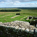 Housesteads - Vicus