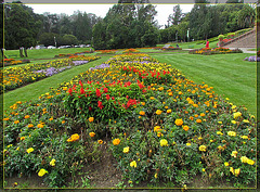 Conservatory of Flowers Garden