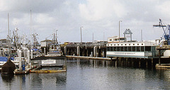 Monterey Harbour