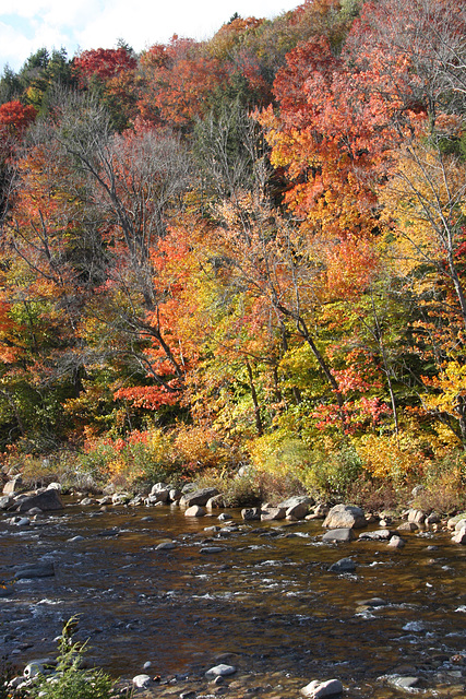 Rocky river