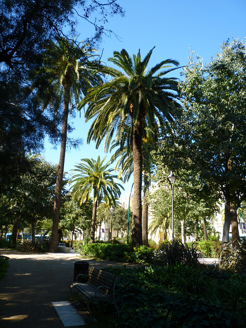 Paseo del Parque