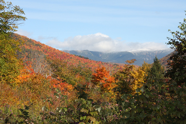 Across the valley