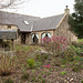 March colours in the courtyard garden