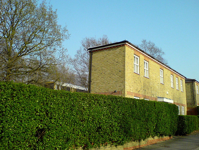 Narrow house, Alleyn Park