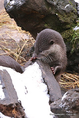 What's this stuff, Mum?