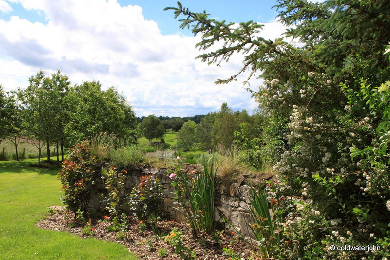 Early July Sunshine series - pond garden