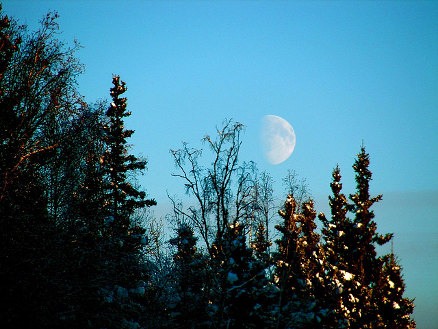 The moon at high noon