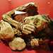 peruvian mummy