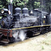 Black Locomotive
