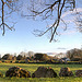 Lough Gur Grange Stone Circle at sunset