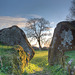Lough Gur Grange Stone Circle Entry at sunset