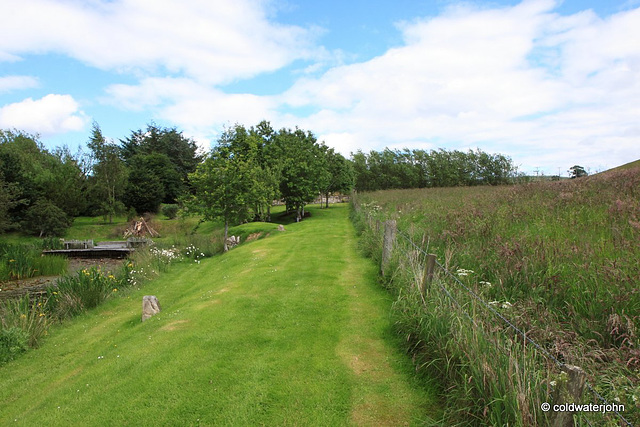 Early July Sunshine series - pond garden