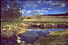March Morayshire Sunshine