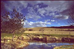 March Morayshire Sunshine