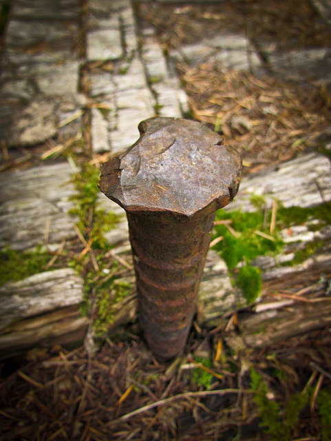 Rusty Bolt on the Middle Fork Hike on Applegate River