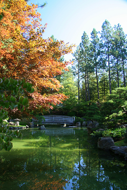 Japanese Garden