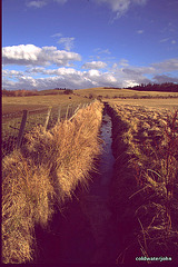 March Morayshire Sunshine