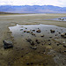 Badwater, Death Valley #1