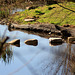 Stepping Stones