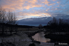 Late afternoon skies