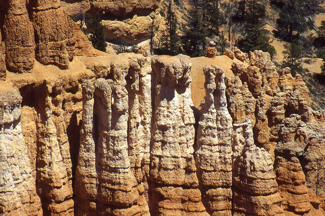 Bryce Canyon #10