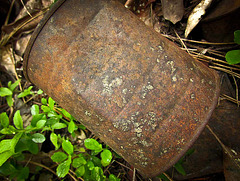 An old can found in an abandoned gold-panning encampment at the middle fork of the Applegate river