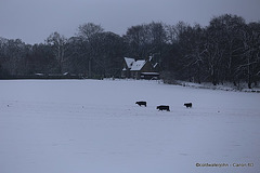 Highland Winter Journey