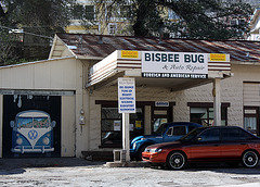Bisbee Bug