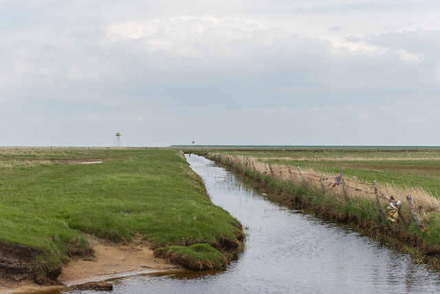 Kanal - 20130515