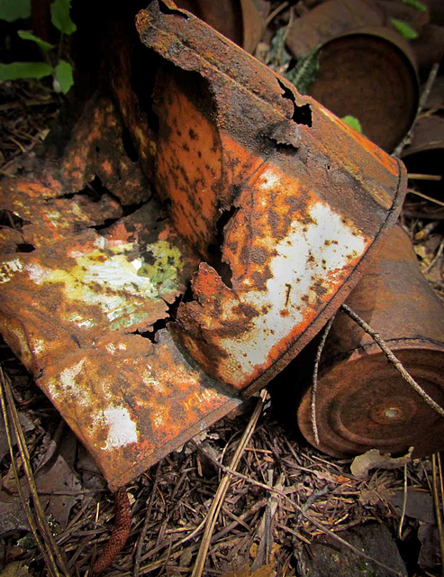 Rusted Can near the middle fork of the Applegate River