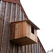 Barn Owls need a home too!