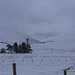 Highland Winter Journey