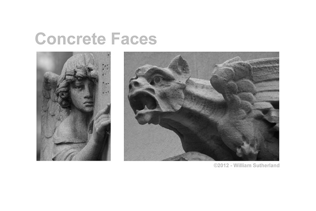 Concrete Faces 12x8