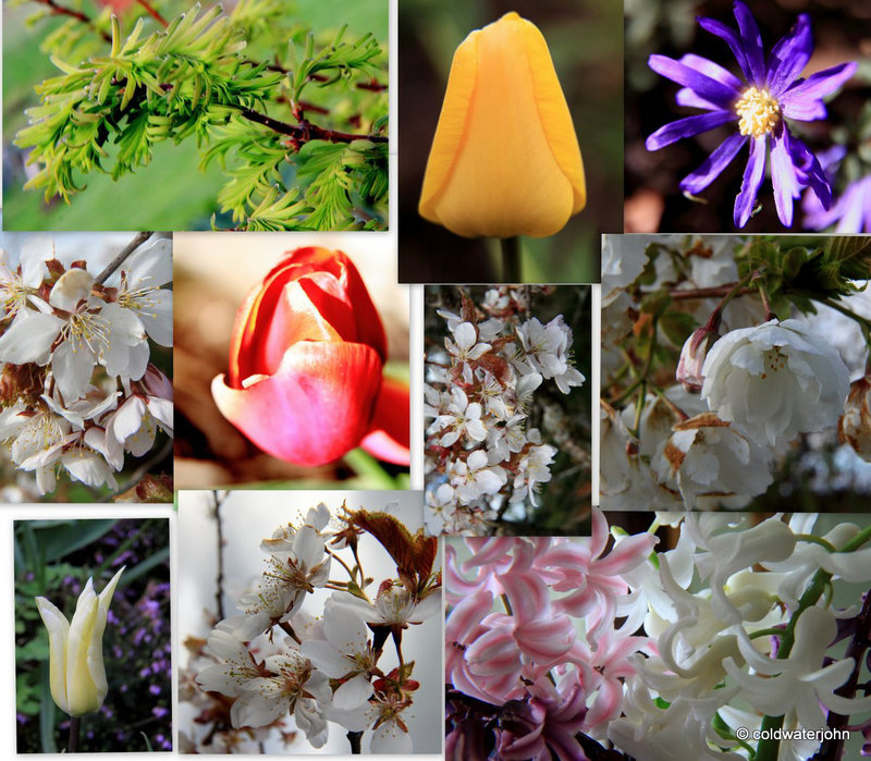 Easter Garden #2 - Canon Macro EF II