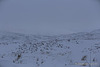 Highland Winter Journey