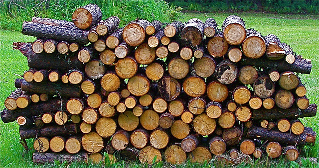 wood pile