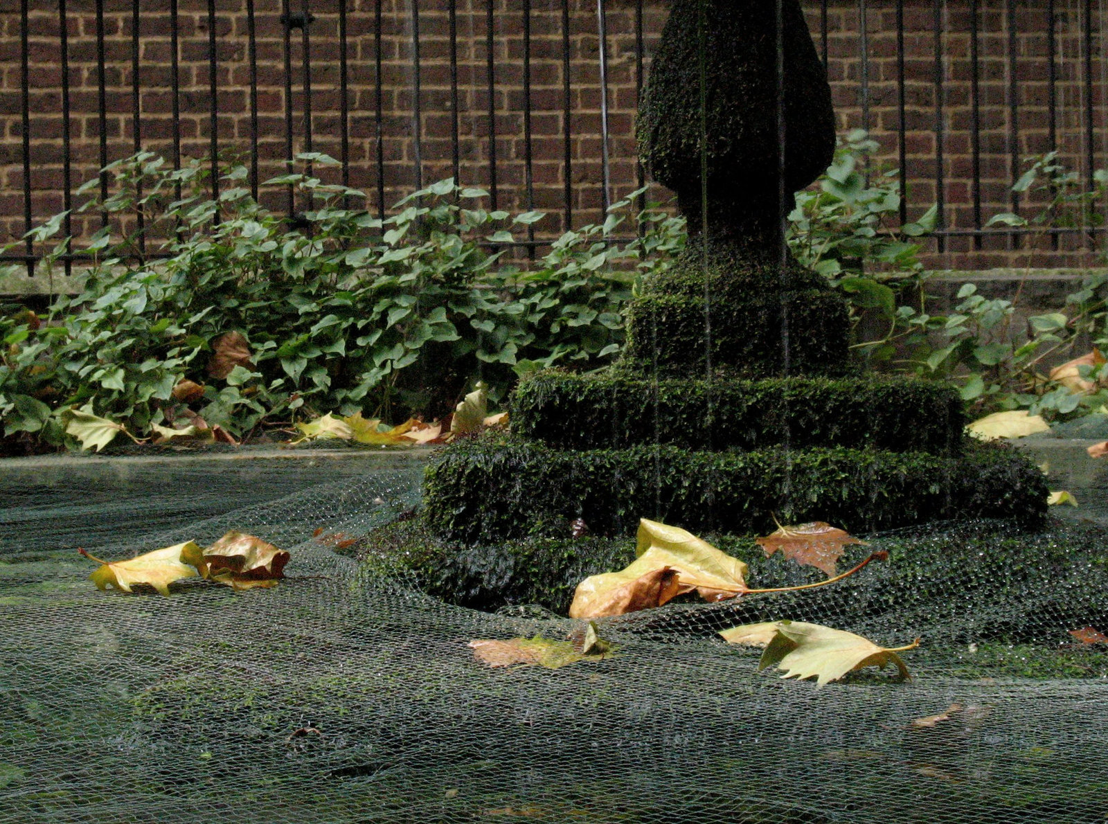 Mossy