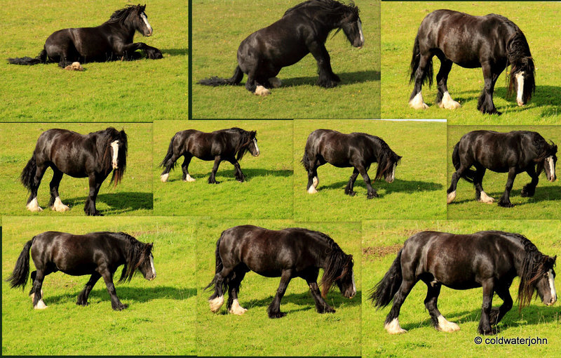 September pasture