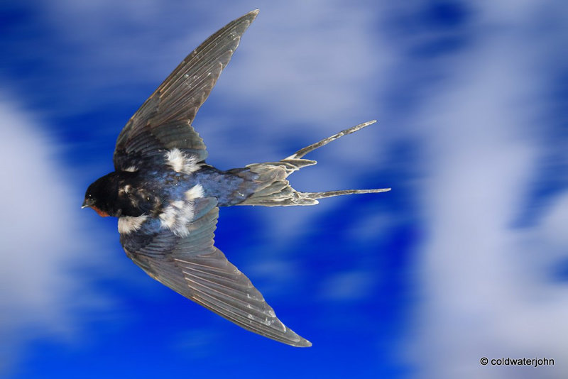One swallow a summer does not make...