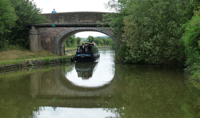 Grand Union Canal Between Tring and Cow Roast