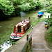 'Sandbach' on the Grand Union Canal at Tring, Hertfordshire