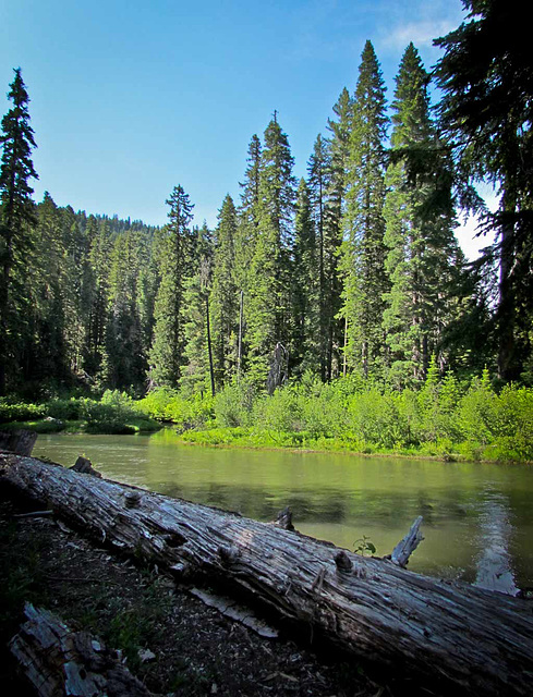 Serene Rogue River